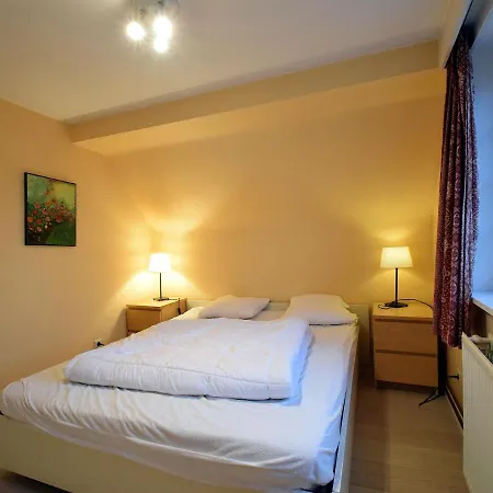 Beautifully Renovated House Centrally Located *